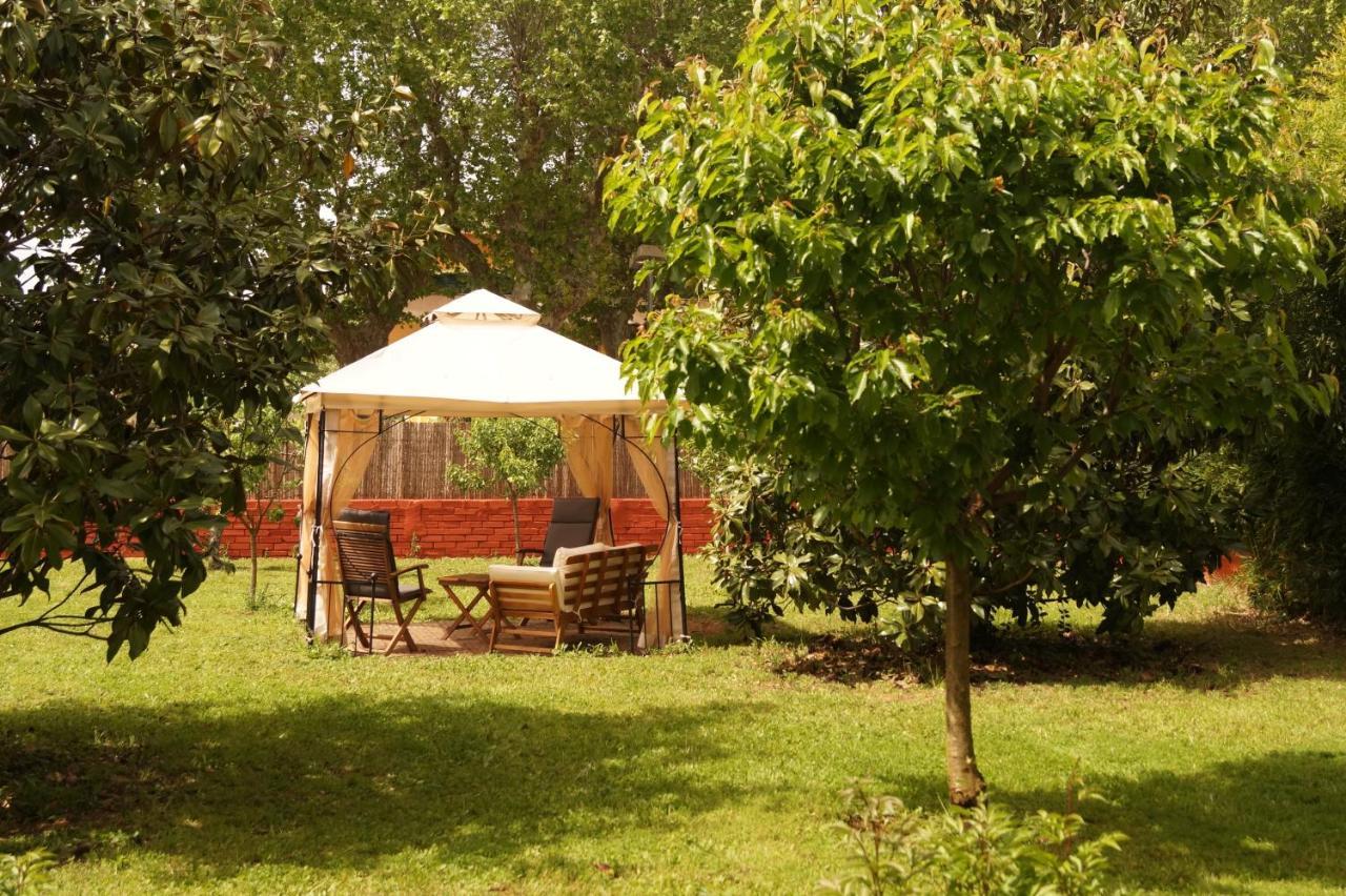 Apartamento Con Encanto L'Estany 2 Banyoles Exterior photo