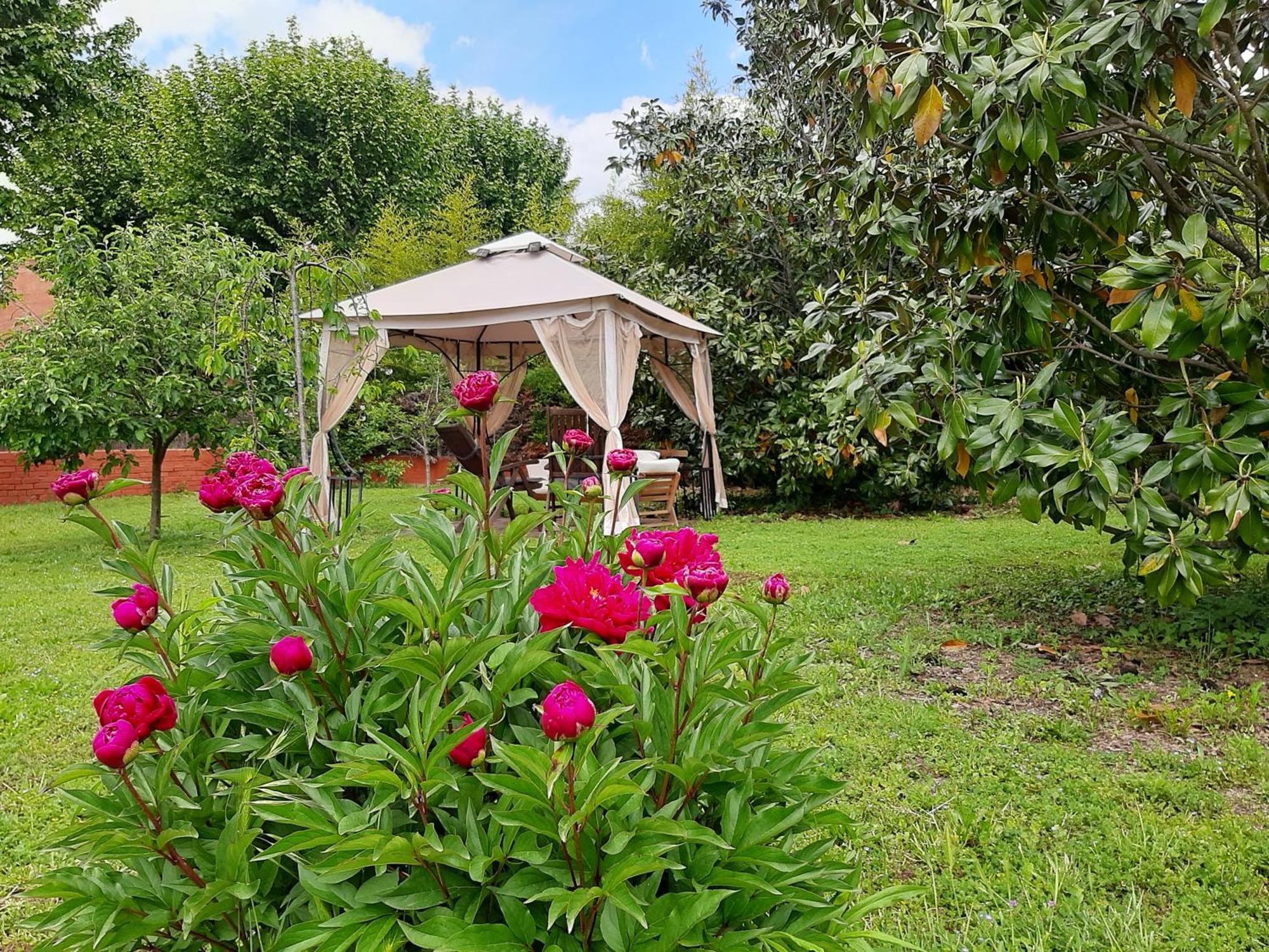 Apartamento Con Encanto L'Estany 2 Banyoles Exterior photo